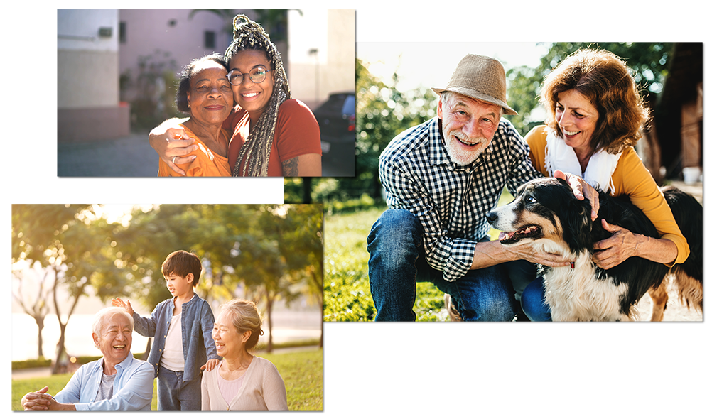 Collage of a golden retriever, a fruit mixer, and a man and woman playing squash