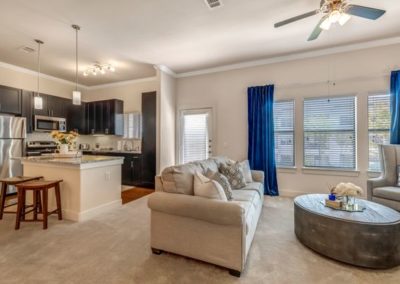Picture of apartment living room at Solea Copperfield