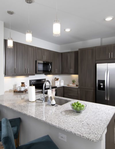 Granite Countertops and Stainless Steel Appliances in Kitchens at Mera Vintage Park in Houston Texas