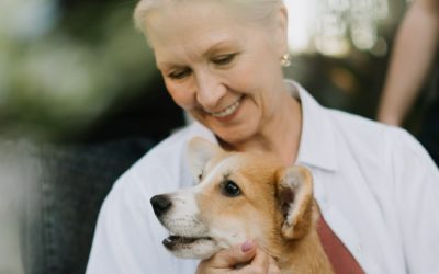 5 Reasons Why Seniors Should Consider Getting An Animal Companion